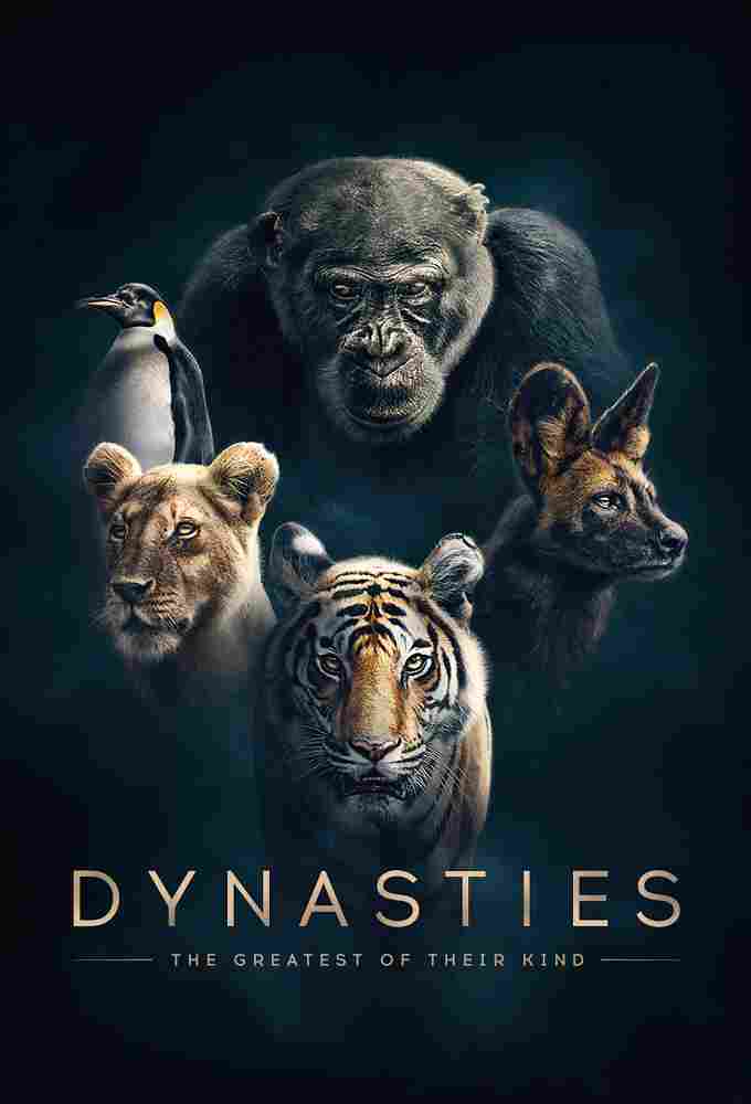 Dynasties