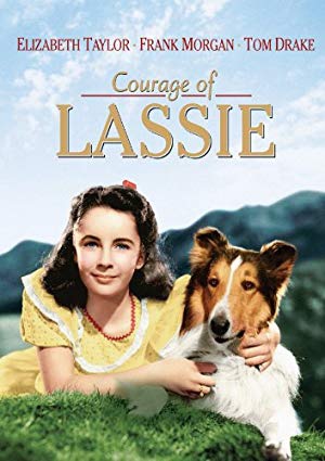 Courage of Lassie