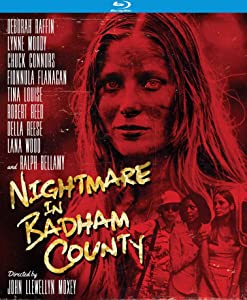 Nightmare in Badham County