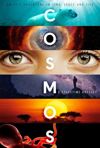 Cosmos A Spacetime Odyssey