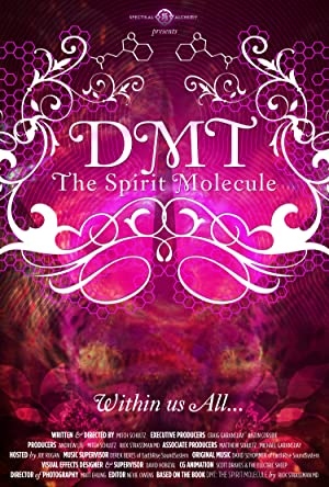 DMT The Spirit Molecule