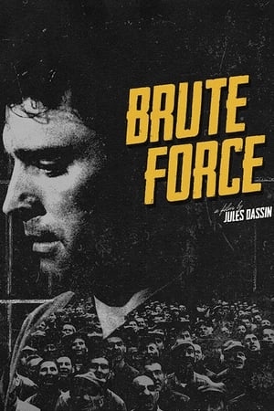 Brute Force