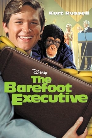 The Barefoot Executive