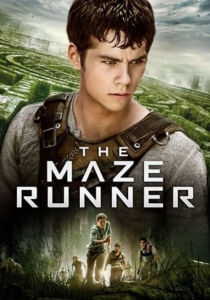 The Maze Runner