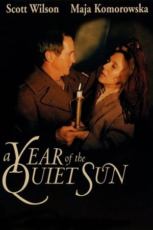 A Year of the Quiet Sun