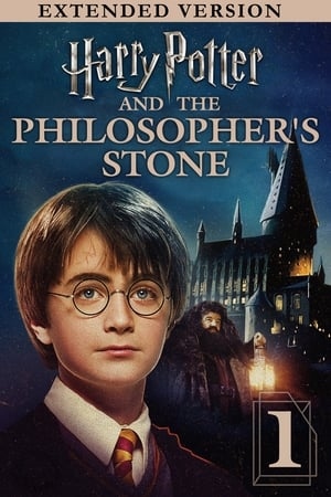 Harry Potter and the Sorcerers Stone