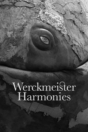 Werckmeister Harmonies